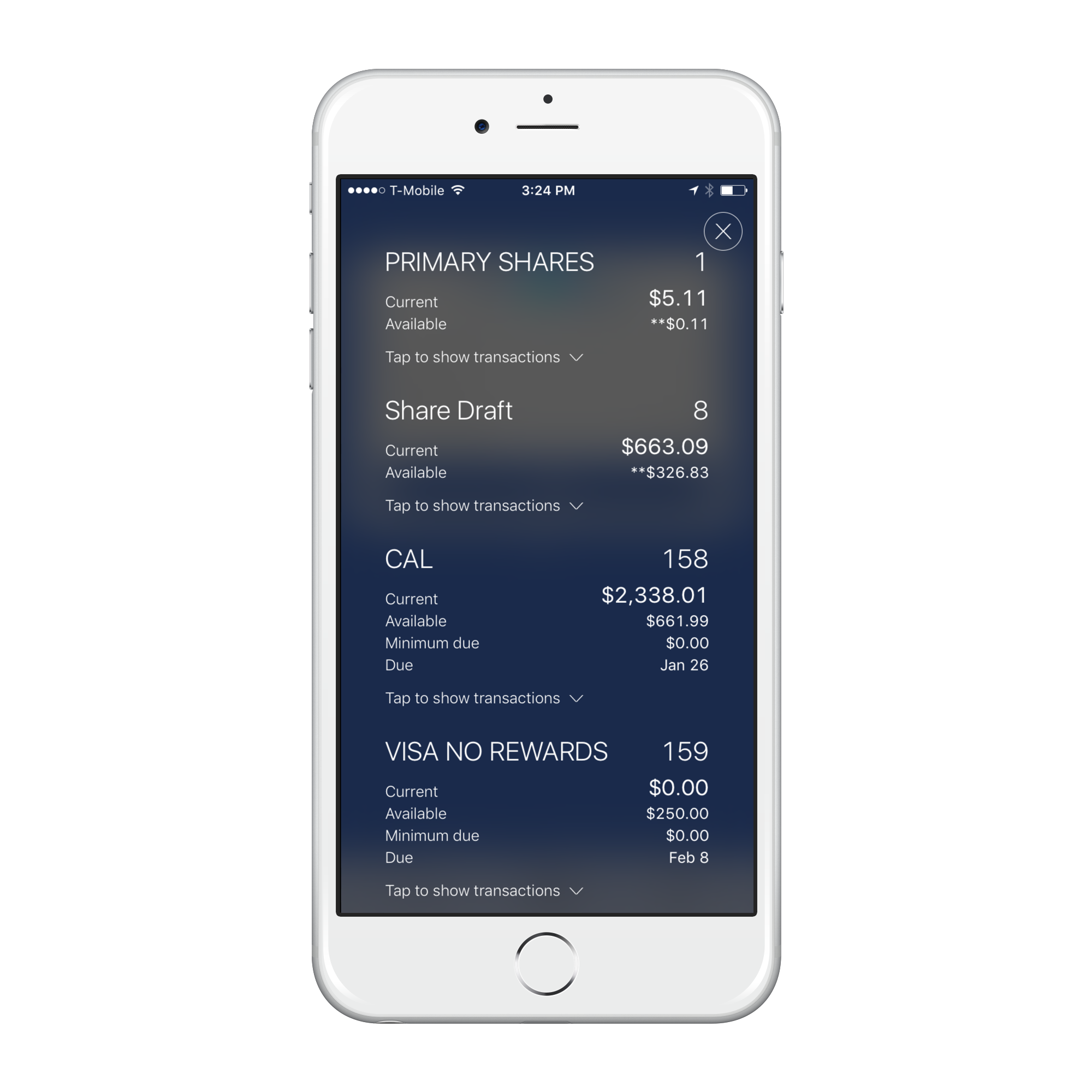 img_2745_iphone6plus_silver_portrait